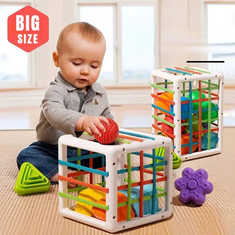 Shape Blocks Sorting Montessori Toy - Toys Shop Australia | Educational Toys