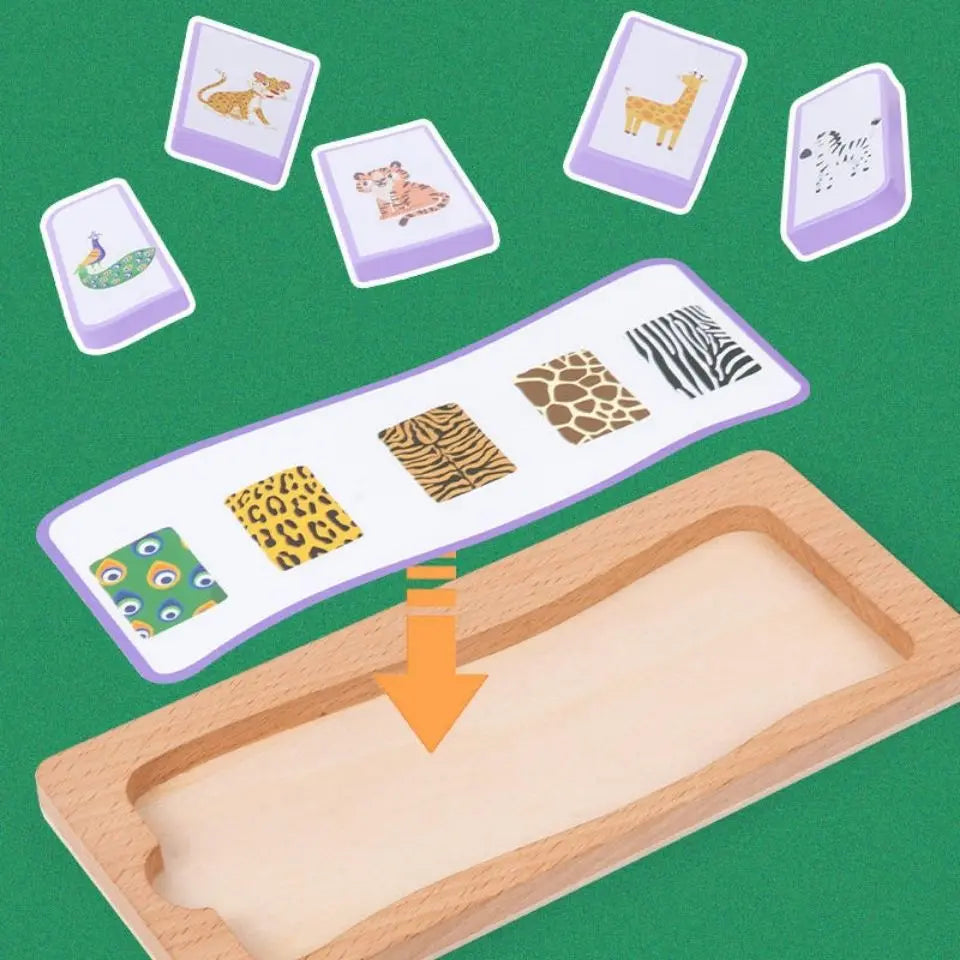 Logical Matching Bingo - Toys Shop Australia | Educational Toys