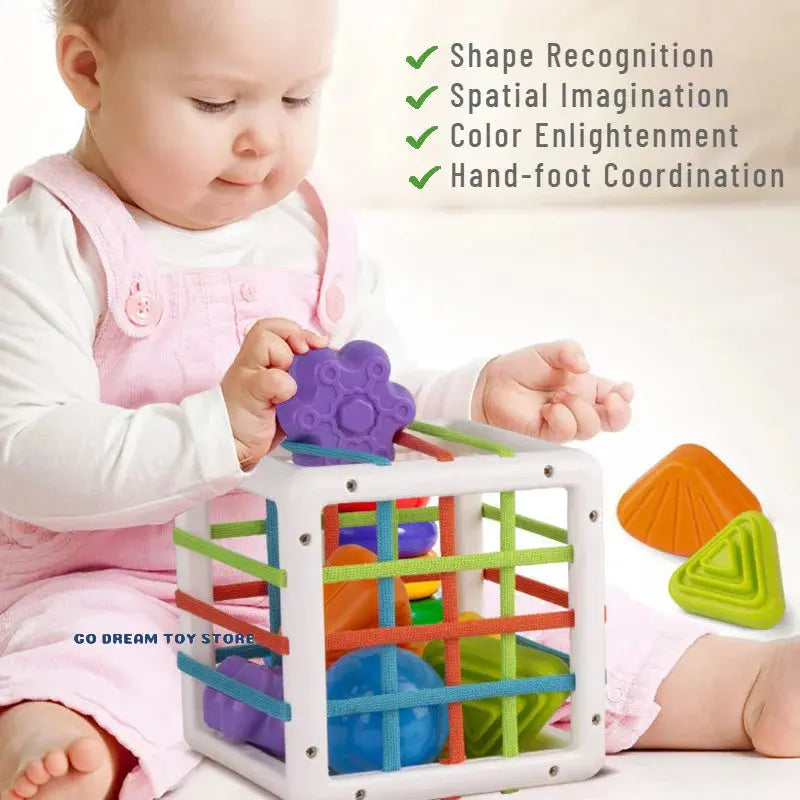 Shape Blocks Sorting Montessori Toy - Toys Shop Australia | Educational Toys