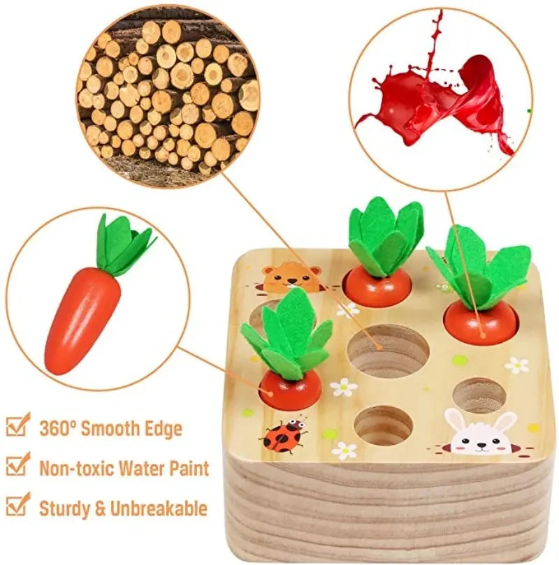 Wooden Carrot Harvest Shape Sorter Toy - Toys Shop Australia | Educational Toys