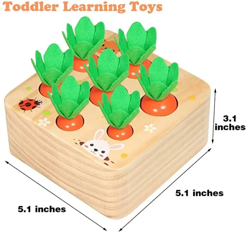 Wooden Carrot Harvest Shape Sorter Toy - Toys Shop Australia | Educational Toys