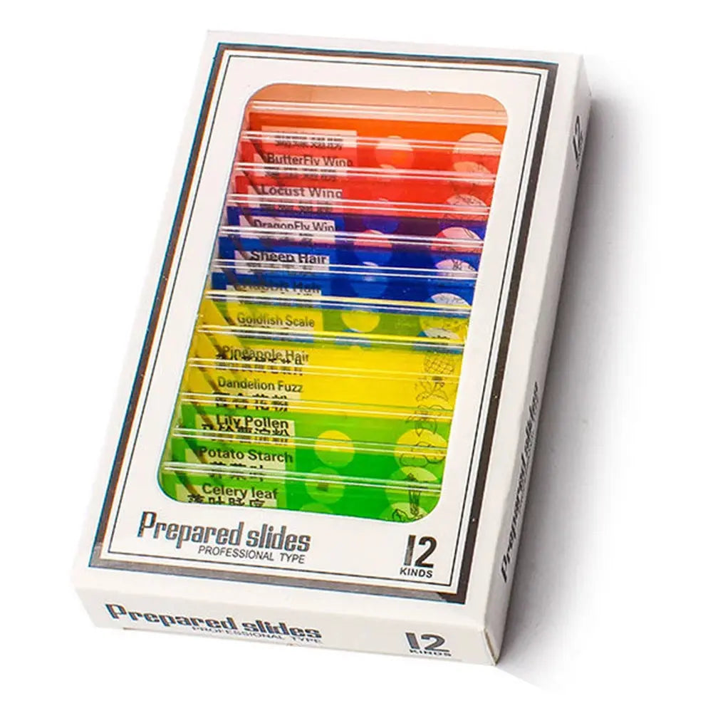 49582054998317|49582055620909|49582055686445|49582055751981