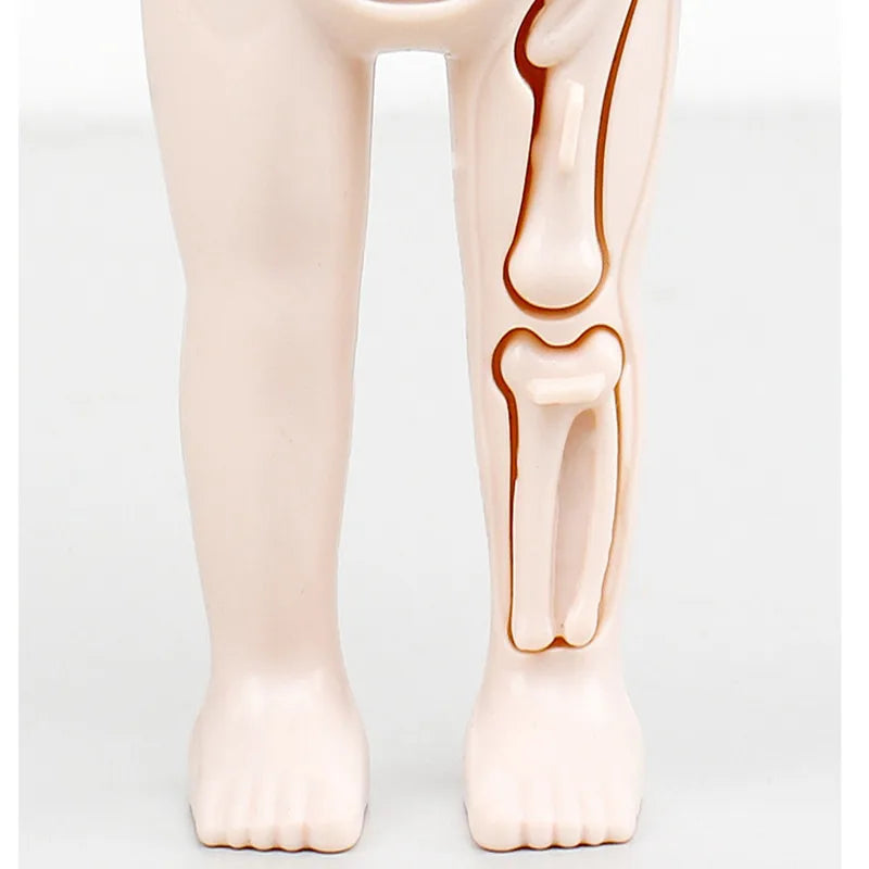 Montessori 3D Human Body Anatomy Puzzle - Toys4us