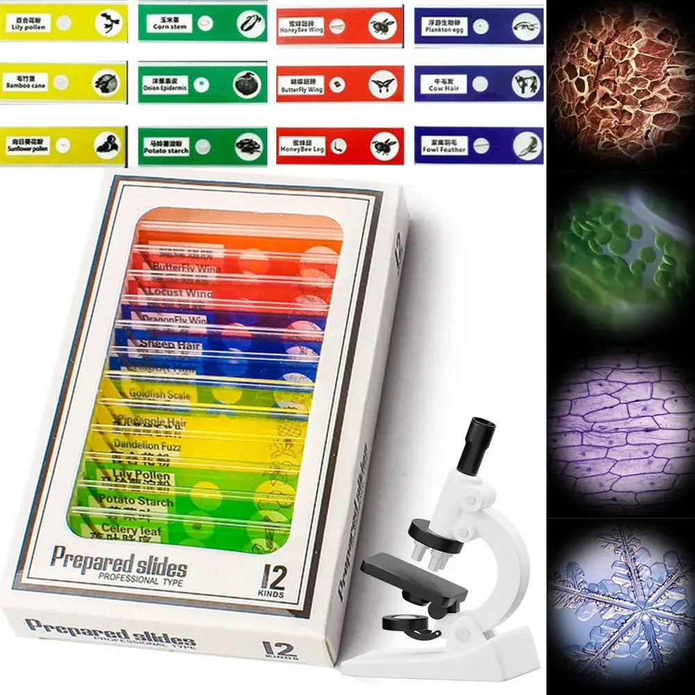 Lab Handheld Microscope - Toys Shop Australia | Educational Toys